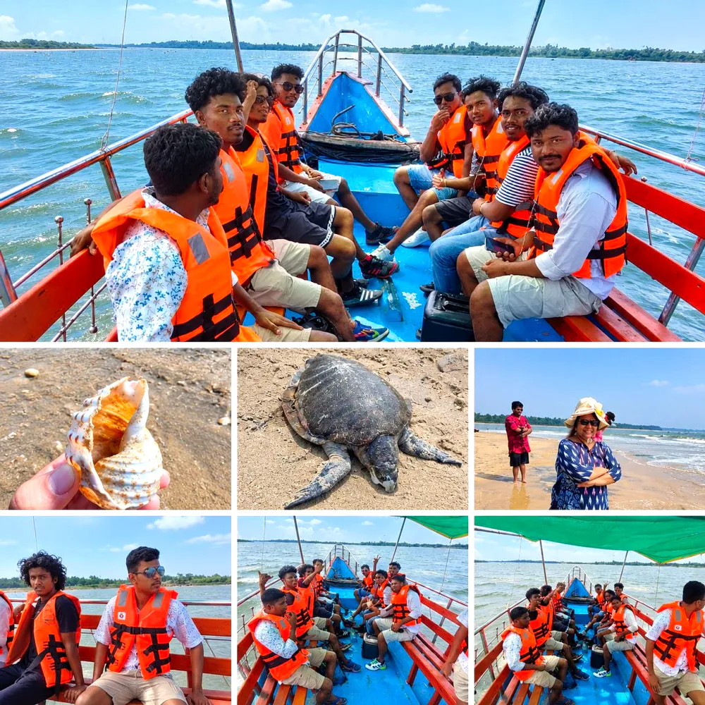 Boat trip collage with turtle and shells found on the river