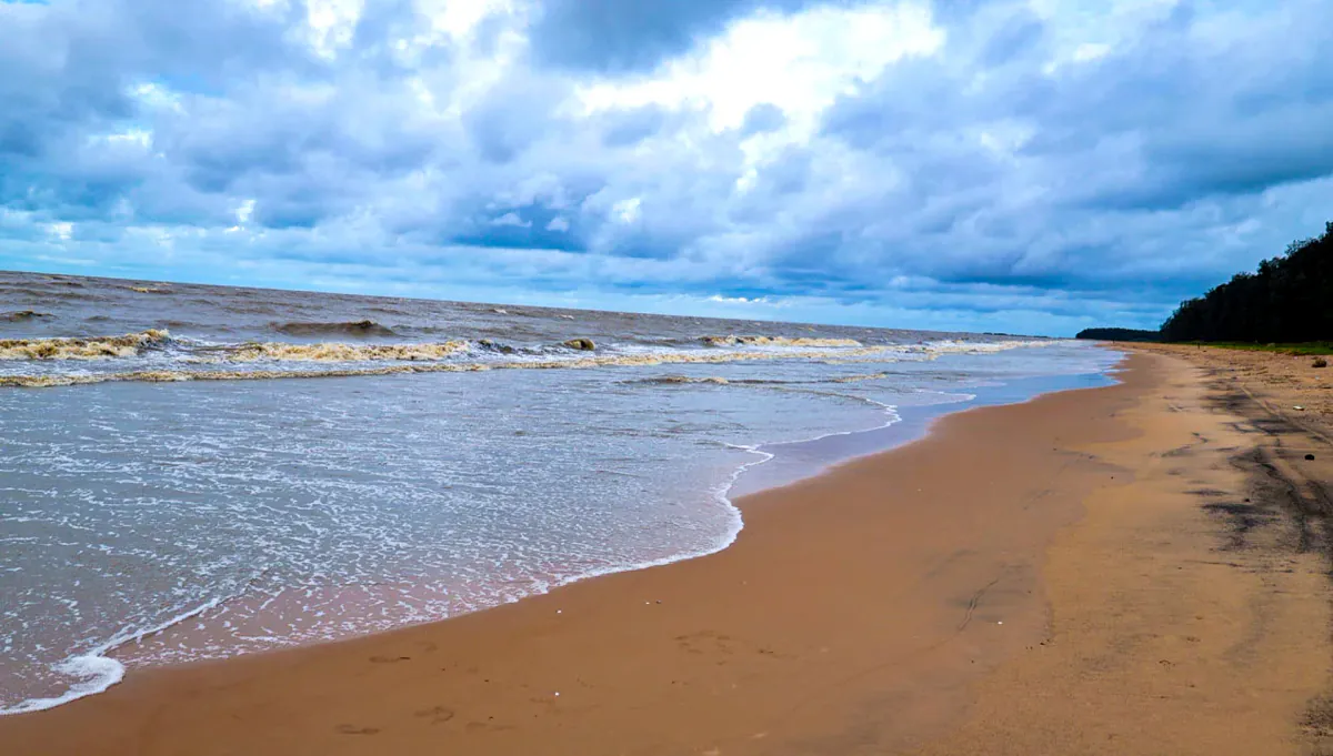 White foaming waves on the shore
