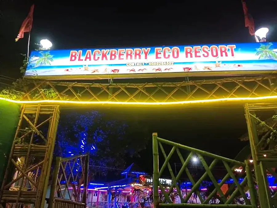 Glowing Blackberry Eco Resort sign on the bamboo gate at night