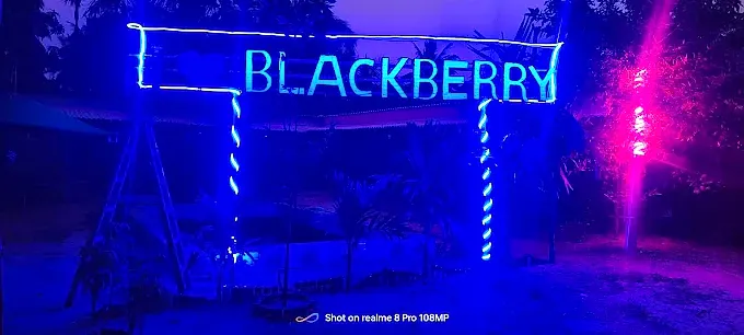 Neon Blackberry gate at night