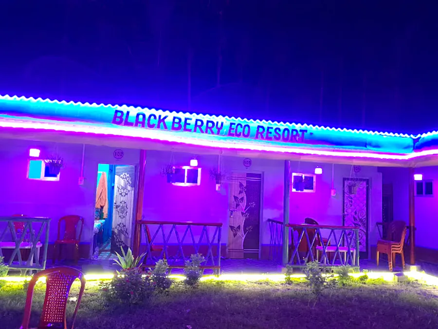 Blackberry Eco Resort sign glowing at night
